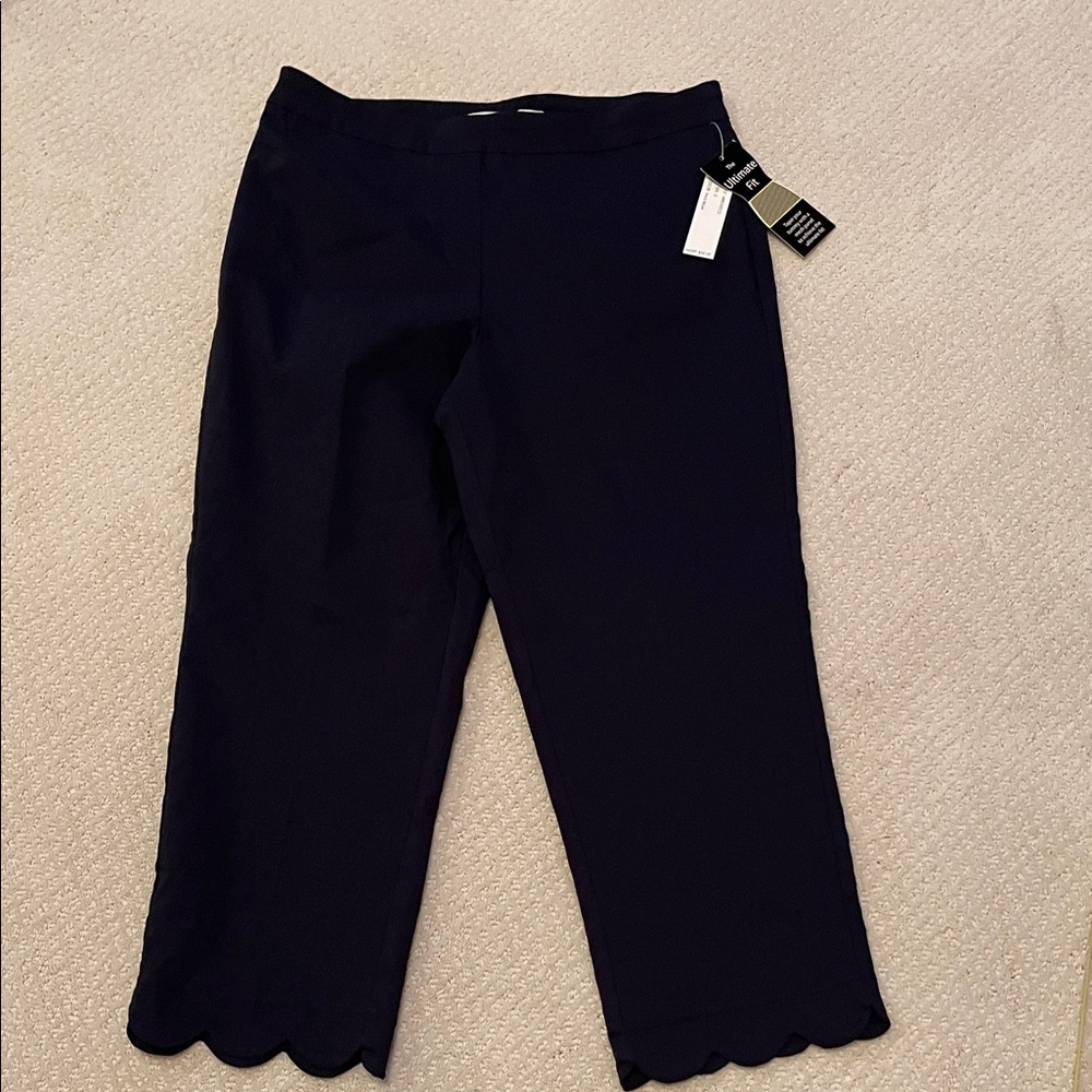 Zac & Rachel Navy Blazer Pants